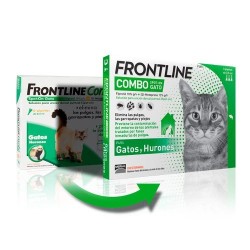 Frontline Combo Spot On Gatos