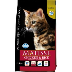Matisse Pollo & Arroz