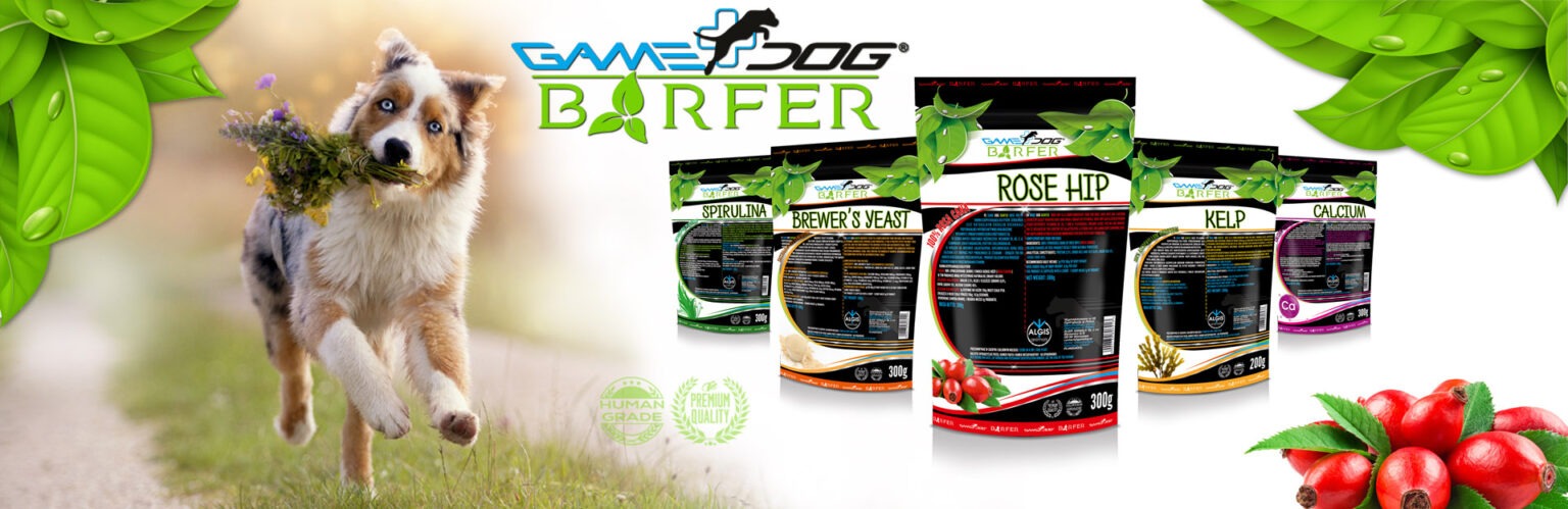 BARFER-V2-1536x499-1-